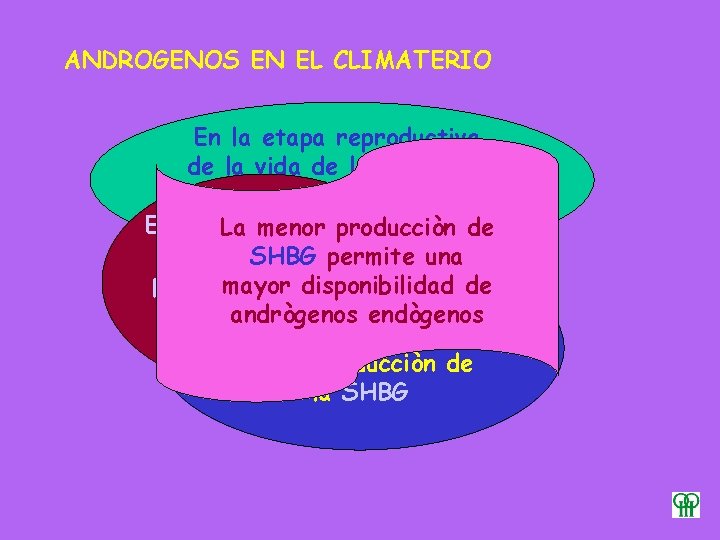 ANDROGENOS EN EL CLIMATERIO En la etapa reproductiva de la vida de la mujer,