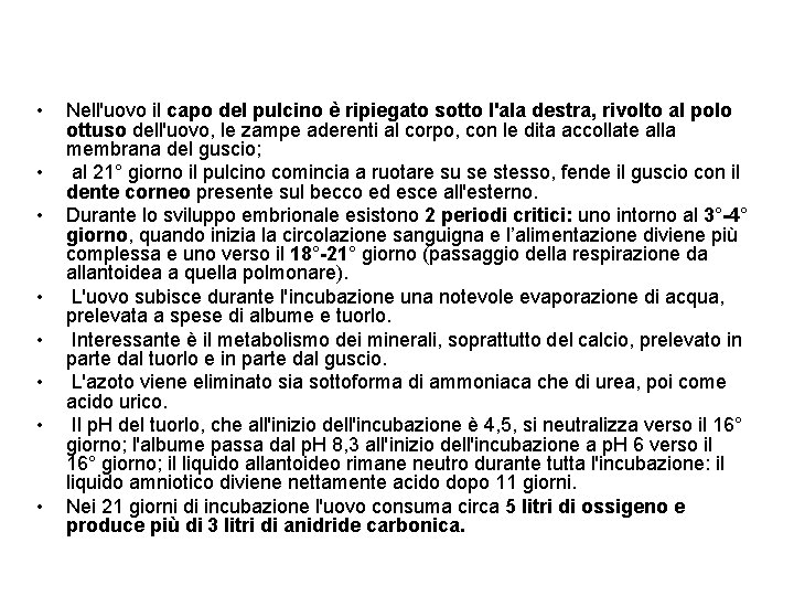  • • Nell'uovo il capo del pulcino è ripiegato sotto l'ala destra, rivolto