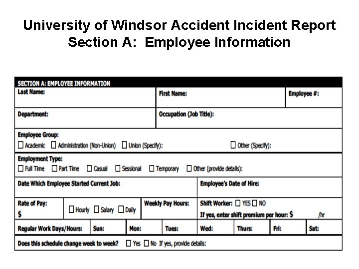 University of Windsor Accident Incident Report Section A: Employee Information 