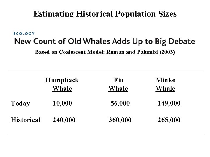 Estimating Historical Population Sizes Based on Coalescent Model: Roman and Palumbi (2003) Humpback Whale