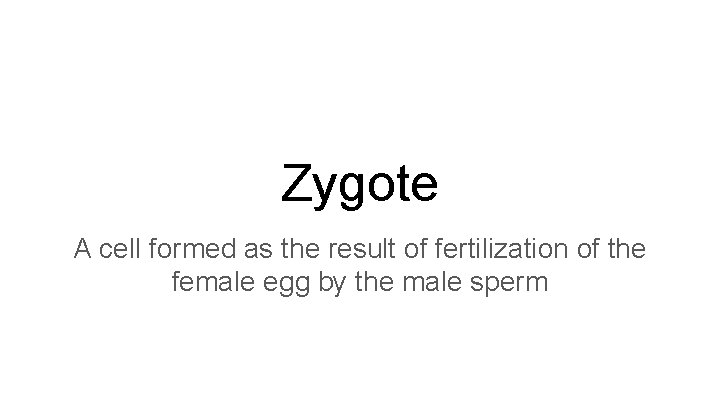 Zygote A cell formed as the result of fertilization of the female egg by