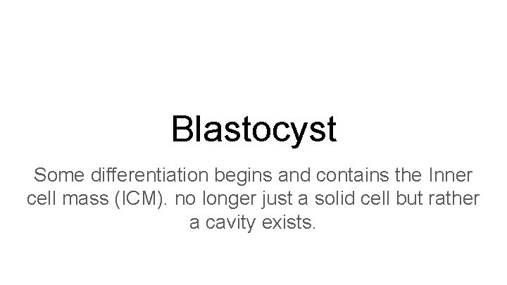 Blastocyst Some differentiation begins and contains the Inner cell mass (ICM). no longer just