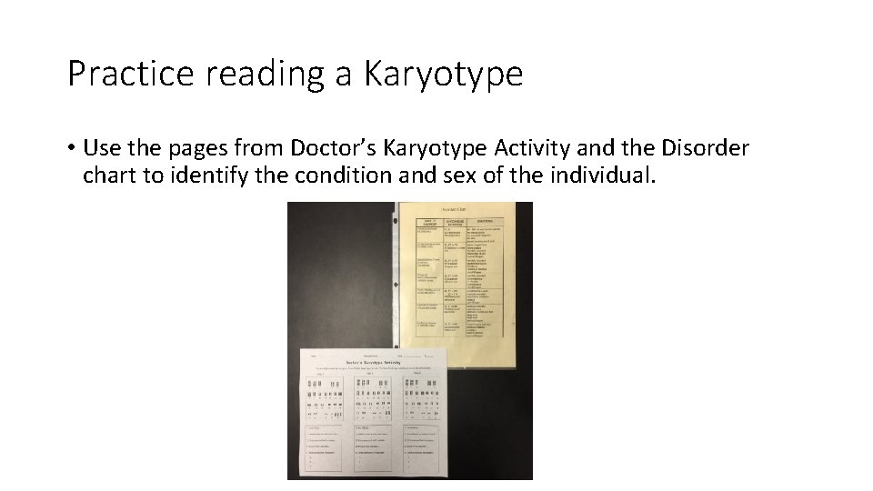 Practice reading a Karyotype • Use the pages from Doctor’s Karyotype Activity and the