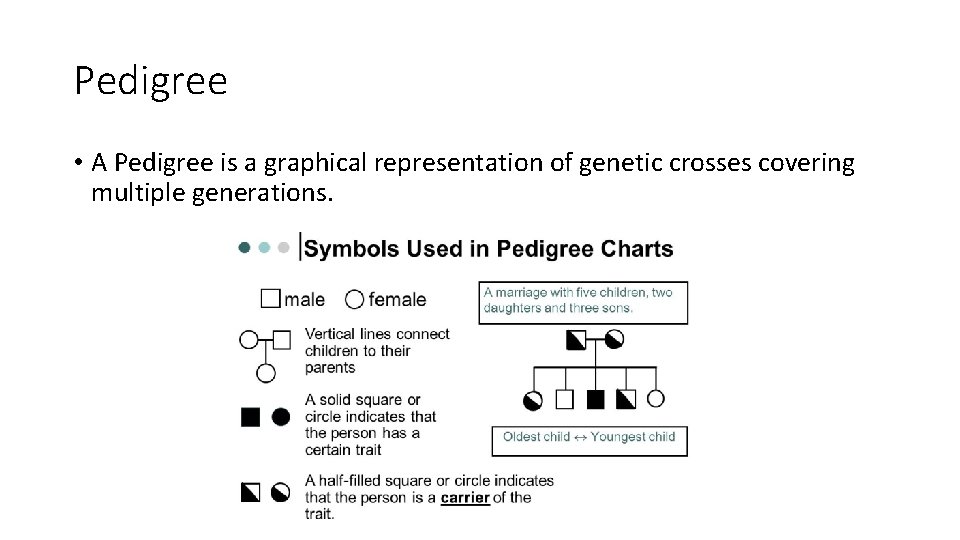 Pedigree • A Pedigree is a graphical representation of genetic crosses covering multiple generations.