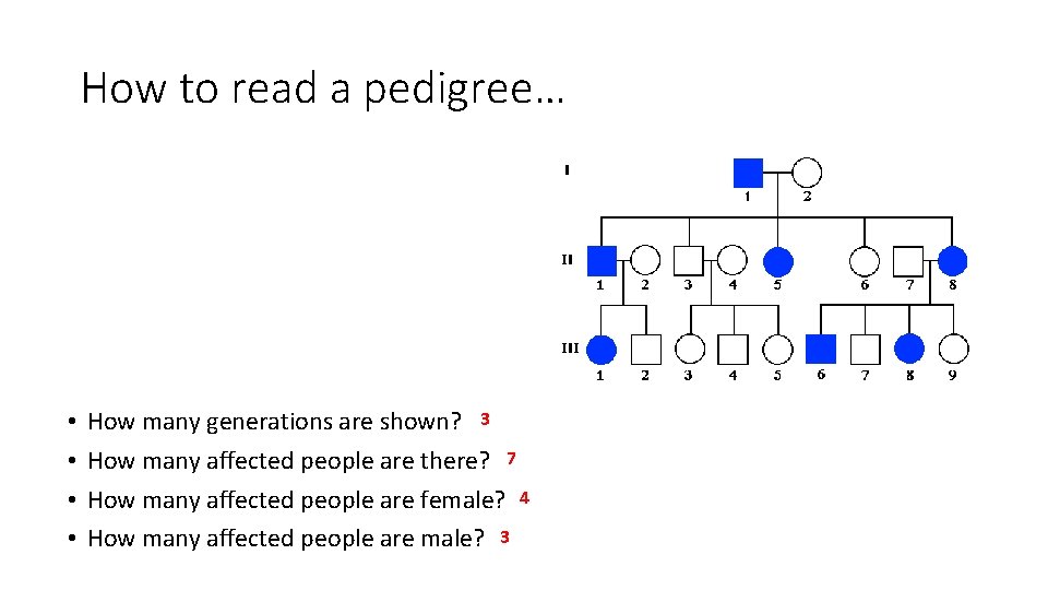 How to read a pedigree… • • How many generations are shown? 3 How