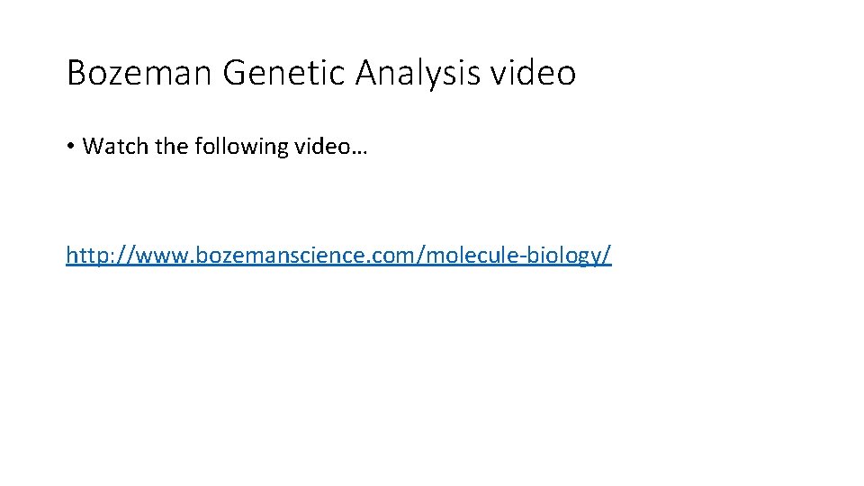 Bozeman Genetic Analysis video • Watch the following video… http: //www. bozemanscience. com/molecule-biology/ 