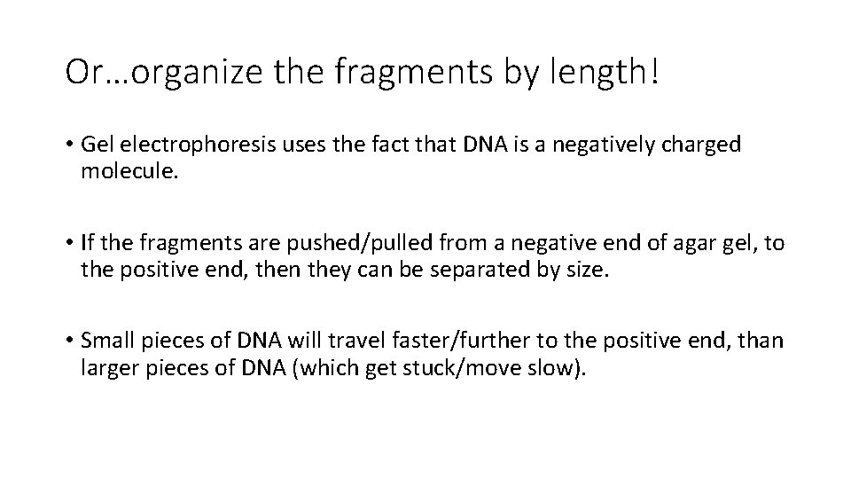 Or…organize the fragments by length! • Gel electrophoresis uses the fact that DNA is
