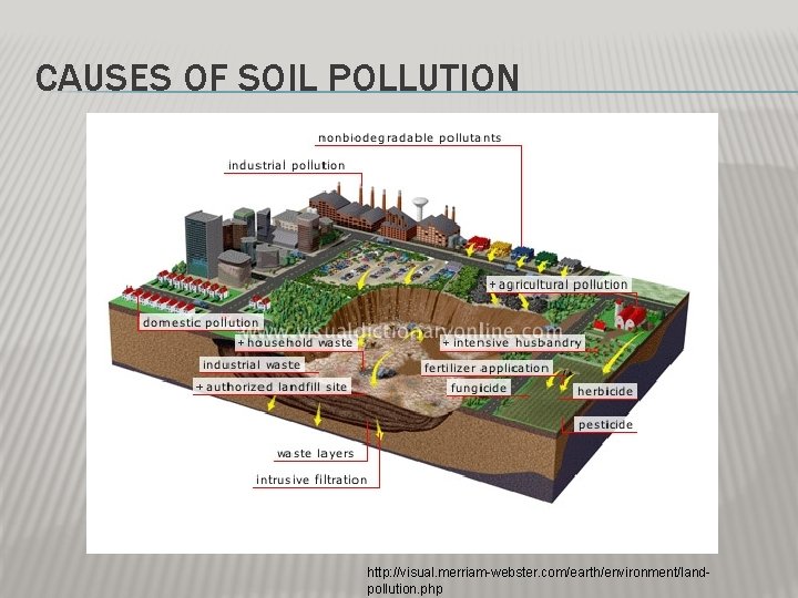 CAUSES OF SOIL POLLUTION http: //visual. merriam-webster. com/earth/environment/landpollution. php CAUSES OF SOIL POLLUTION http: //visual. merriam-webster. com/earth/environment/landpollution. php