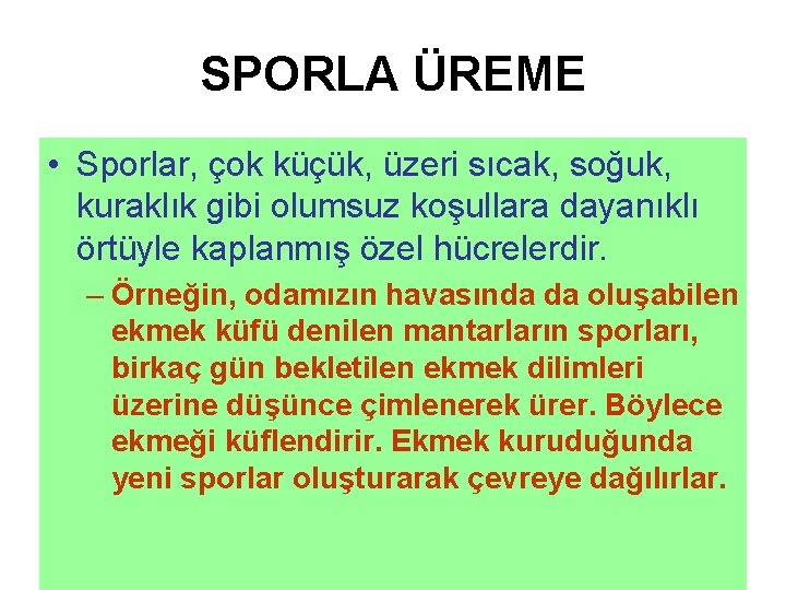 SPORLA ÜREME • Sporlar, çok küçük, üzeri sıcak, soğuk, kuraklık gibi olumsuz koşullara dayanıklı