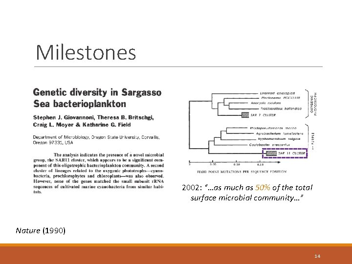 Milestones 2002: “…as much as 50% of the total surface microbial community…” Nature (1990)