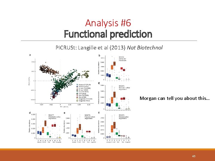 Analysis #6 Functional prediction PICRUSt: Langille et al (2013) Nat Biotechnol Morgan can tell