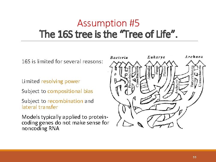 Assumption #5 The 16 S tree is the “Tree of Life”. 16 S is
