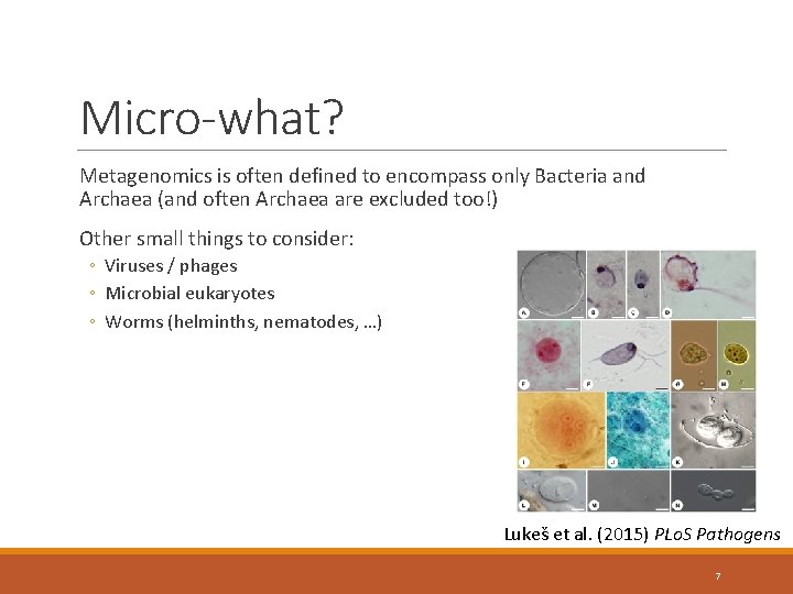 Micro-what? Metagenomics is often defined to encompass only Bacteria and Archaea (and often Archaea