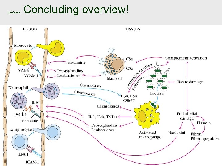 spectacular Concluding overview! 