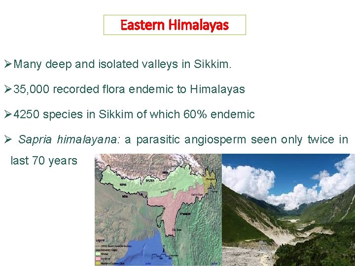 Eastern Himalayas ØMany deep and isolated valleys in Sikkim. Ø 35, 000 recorded flora