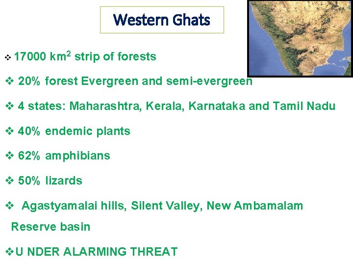 Western Ghats v 17000 km 2 strip of forests v 20% forest Evergreen and