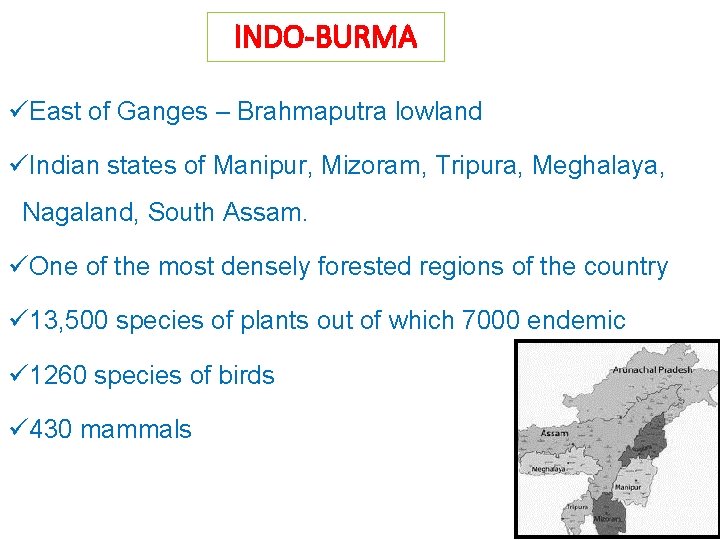 INDO-BURMA üEast of Ganges – Brahmaputra lowland üIndian states of Manipur, Mizoram, Tripura, Meghalaya,