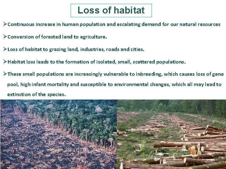 Loss of habitat ØContinuous increase in human population and escalating demand for our natural