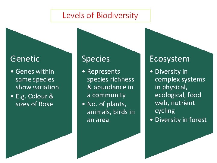 Levels of Biodiversity Genetic Species Ecosystem • Genes within same species show variation •