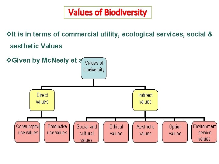 Values of Biodiversity v. It is in terms of commercial utility, ecological services, social