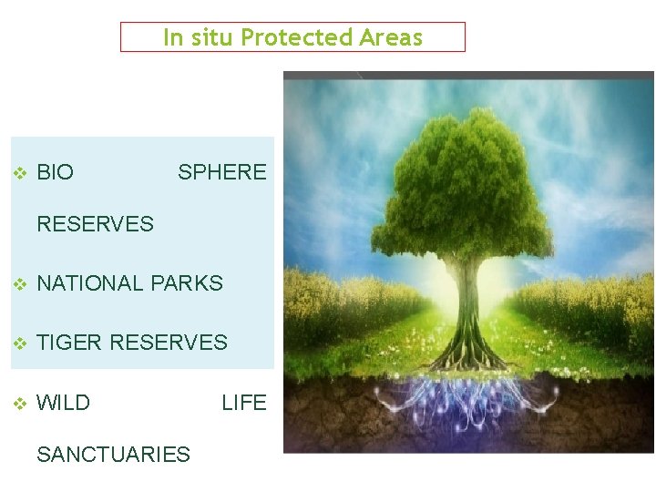 In situ Protected Areas v BIO SPHERE RESERVES v NATIONAL PARKS v TIGER RESERVES