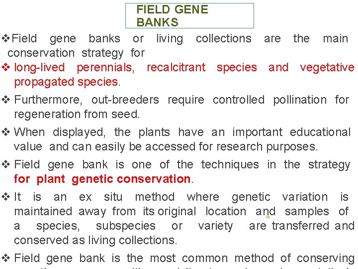 FIELD GENE BANKS v. Field gene banks or living collections are the main conservation