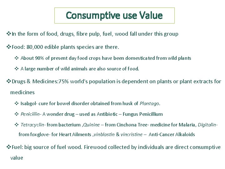 Consumptive use Value v. In the form of food, drugs, fibre pulp, fuel, wood