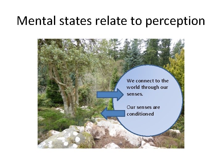 Mental states relate to perception We connect to the world through our senses. Our