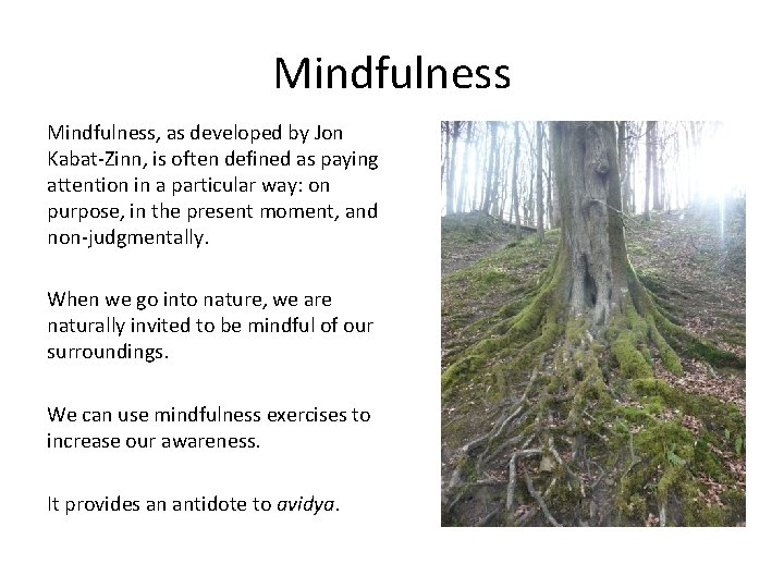 Mindfulness, as developed by Jon Kabat-Zinn, is often defined as paying attention in a
