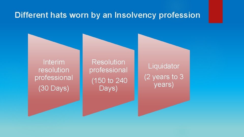 Different hats worn by an Insolvency profession Interim resolution professional (30 Days) Resolution professional