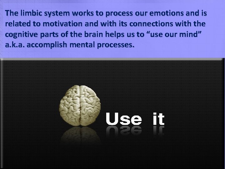 The limbic system works to process our emotions and is related to motivation and The limbic system works to process our emotions and is related to motivation and