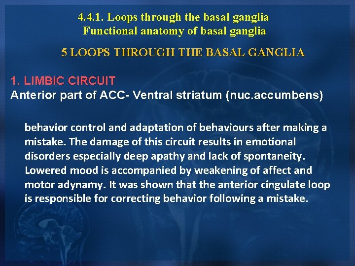 4. 4. 1. Loops through the basal ganglia Functional anatomy of basal ganglia 5