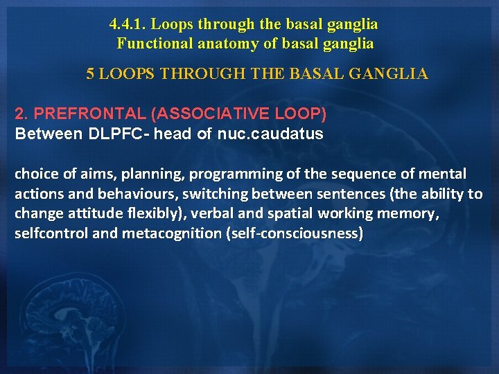 4. 4. 1. Loops through the basal ganglia Functional anatomy of basal ganglia 5