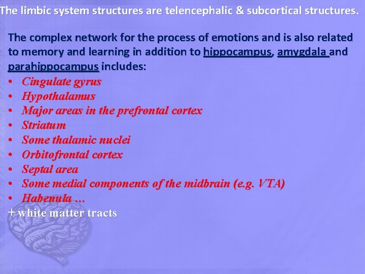 The limbic system structures are telencephalic & subcortical structures. The complex network for the The limbic system structures are telencephalic & subcortical structures. The complex network for the