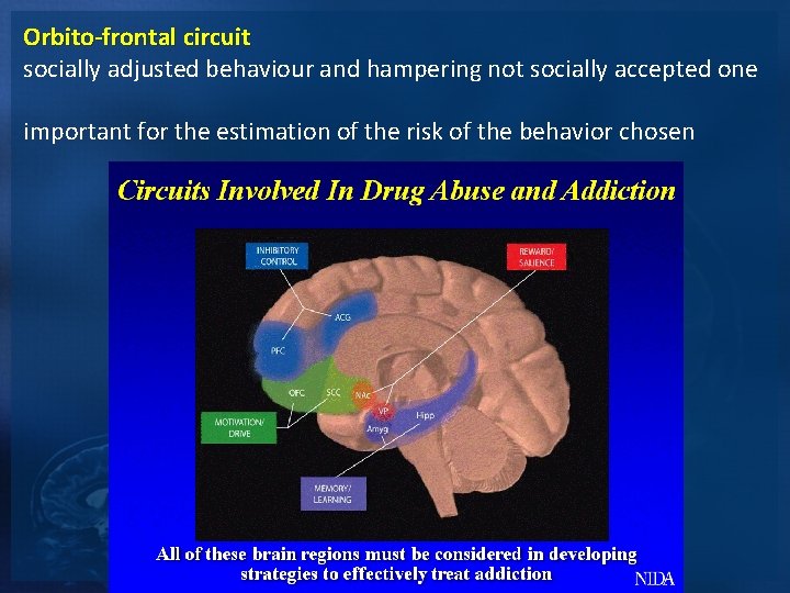 Orbito-frontal circuit socially adjusted behaviour and hampering not socially accepted one important for the