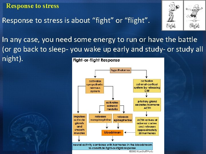 Response to stress is about “fight” or “flight”. In any case, you need some