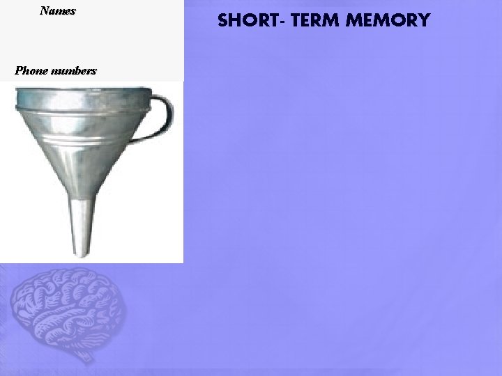 Names Phone numbers SHORT- TERM MEMORY Names Phone numbers SHORT- TERM MEMORY