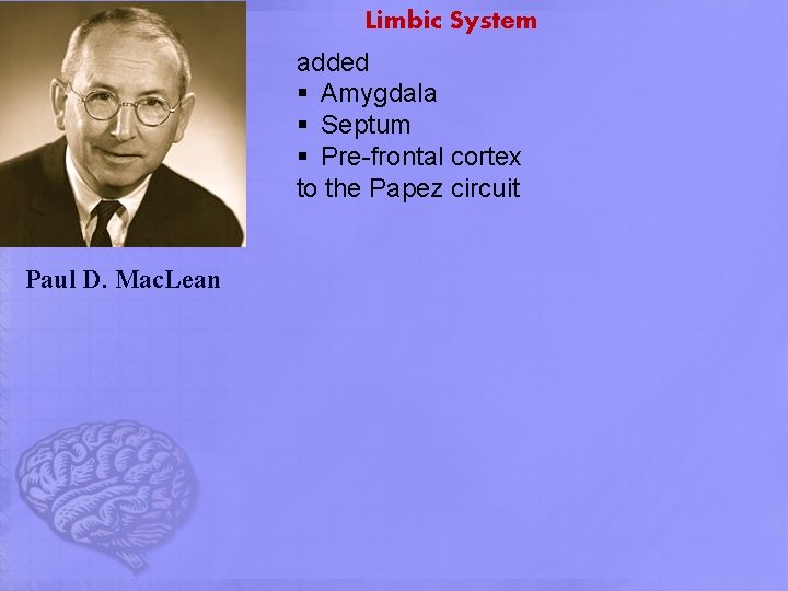 Limbic System added § Amygdala § Septum § Pre-frontal cortex to the Papez circuit