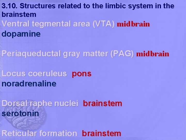 3. 10. Structures related to the limbic system in the brainstem Ventral tegmental area 3. 10. Structures related to the limbic system in the brainstem Ventral tegmental area
