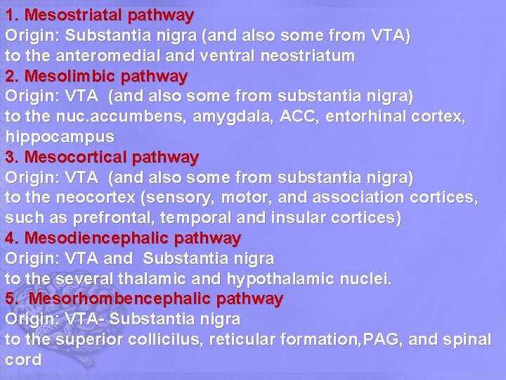 1. Mesostriatal pathway Origin: Substantia nigra (and also some from VTA) to the anteromedial 1. Mesostriatal pathway Origin: Substantia nigra (and also some from VTA) to the anteromedial