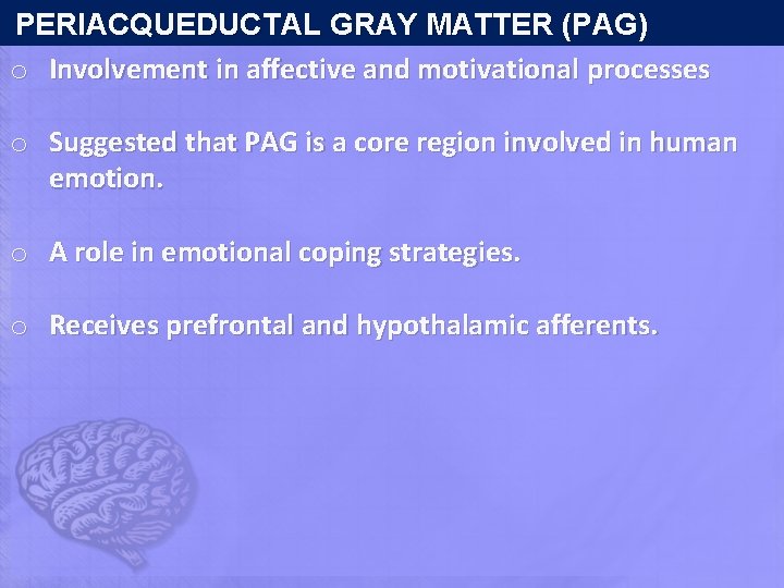  PERIACQUEDUCTAL GRAY MATTER (PAG) o Involvement in affective and motivational processes o Suggested