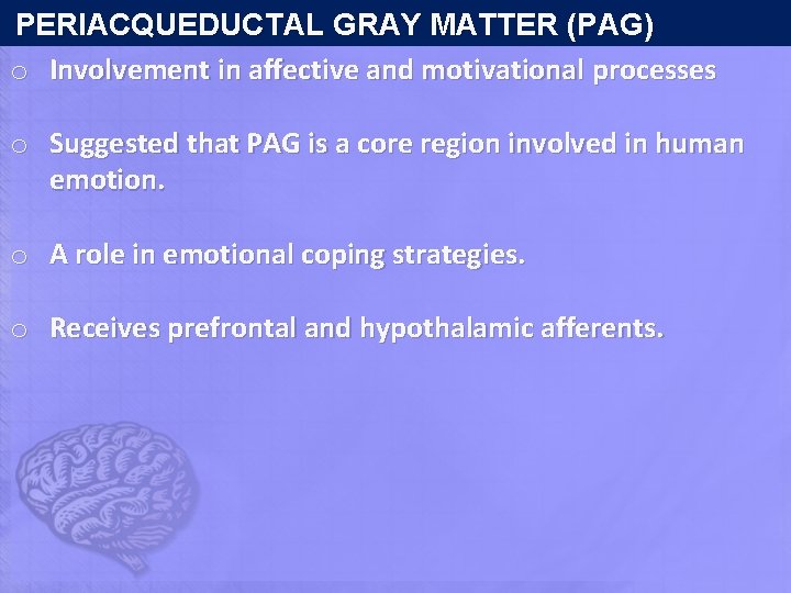PERIACQUEDUCTAL GRAY MATTER (PAG) o Involvement in affective and motivational processes o Suggested PERIACQUEDUCTAL GRAY MATTER (PAG) o Involvement in affective and motivational processes o Suggested