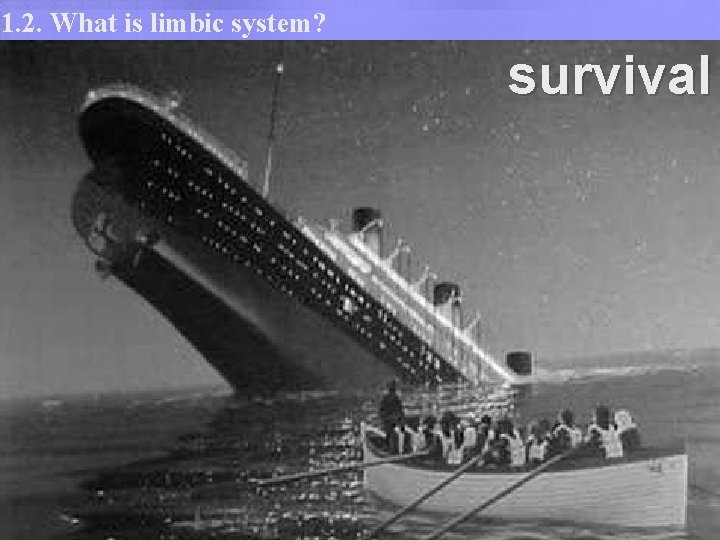 1. 2. What is limbic system? survival YOUR MISSION IN LIFE? 