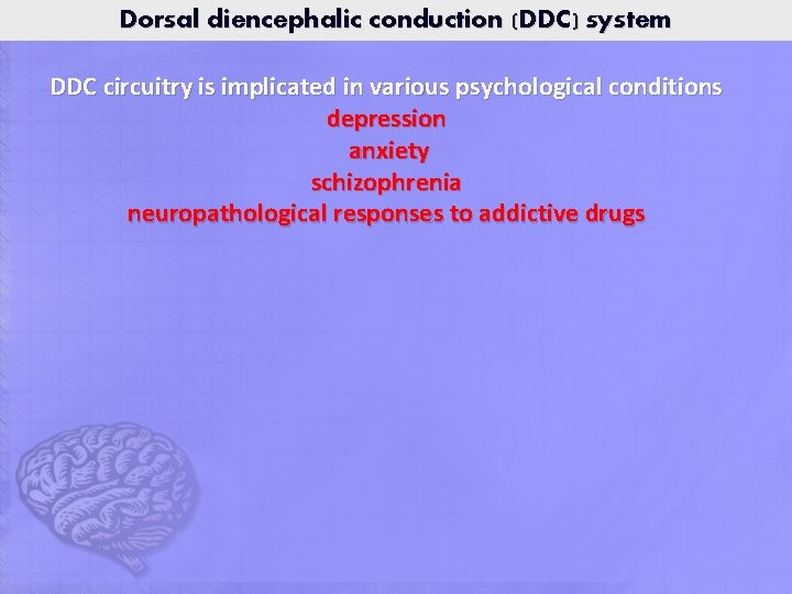 Dorsal diencephalic conduction (DDC) system DDC circuitry is implicated in various psychological conditions depression Dorsal diencephalic conduction (DDC) system DDC circuitry is implicated in various psychological conditions depression