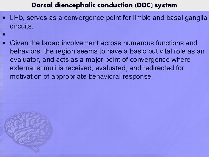 Dorsal diencephalic conduction (DDC) system § LHb, serves as a convergence point for limbic Dorsal diencephalic conduction (DDC) system § LHb, serves as a convergence point for limbic