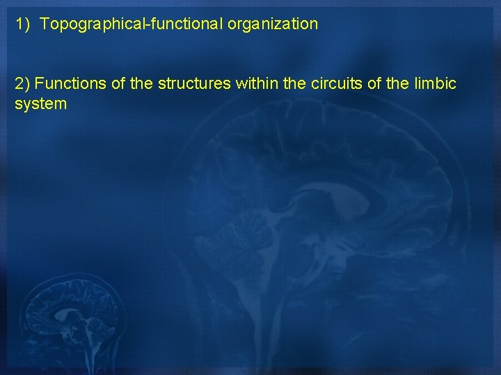 1) Topographical-functional organization 2) Functions of the structures within the circuits of the limbic