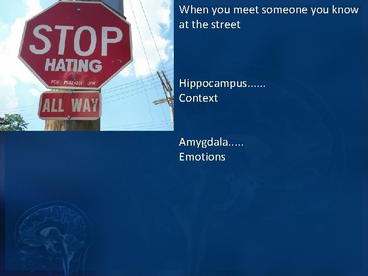 When you meet someone you know at the street Hippocampus. . . Context Amygdala.