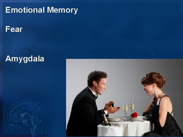 Emotional Memory Fear Amygdala 