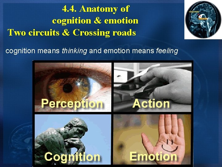 4. 4. Anatomy of cognition & emotion Two circuits & Crossing roads cognition means