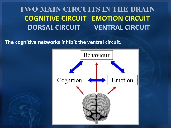 TWO MAIN CIRCUITS IN THE BRAIN COGNITIVE CIRCUIT EMOTION CIRCUIT DORSAL CIRCUIT VENTRAL CIRCUIT